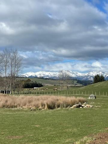 Boutique Tiny House - Te Anau Country Accommodation Eksteriør billede