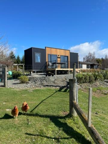 Boutique Tiny House - Te Anau Country Accommodation Eksteriør billede
